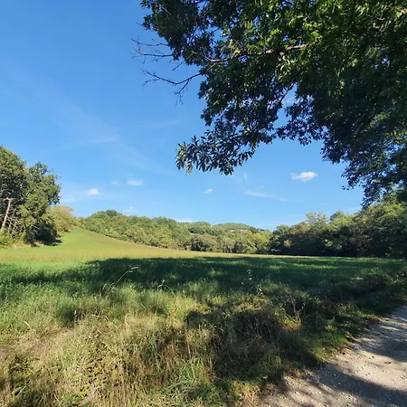 Appartamento Badia San Nicolò Di Campolongo - D'onofrio *